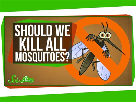 Would it be bad if we killed all mosquitoes?