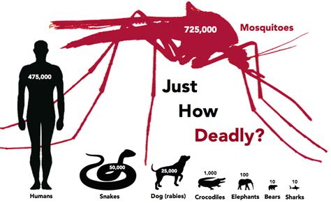 Would it be good if all mosquitoes died?